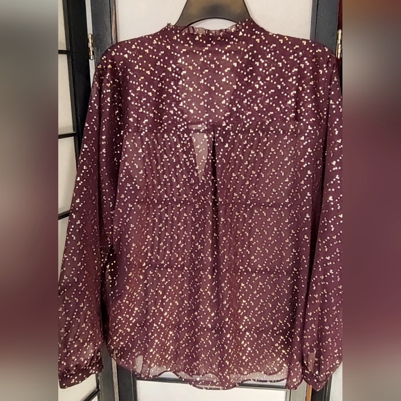 Sheer Blouse with Nice Details - Picture 3 of 8